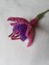 Knitted Fuchsia
