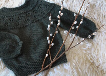 Catkin Pullover