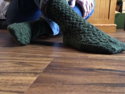 Philodendron Socks