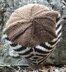 Dauntless Hat