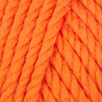 Pumpkin (90)