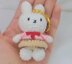 Mini Miffy Bunny Keychain Pattern| Amigurumi Bunny| Beginner Friendly| Cute Keychain Toy PDF