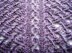 Purple Leaf Plum