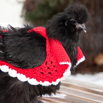 Tunisian Crochet Chicken Sweater