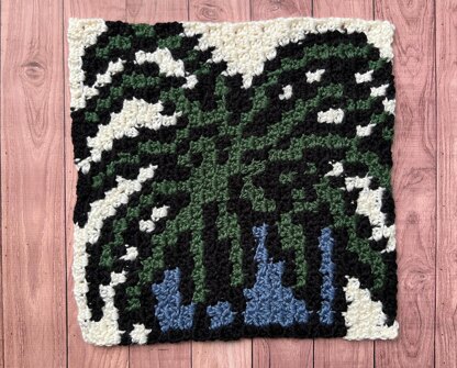 Spider Plant C2C Square