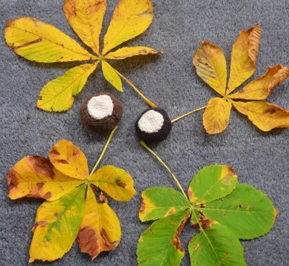 Conker and Shell