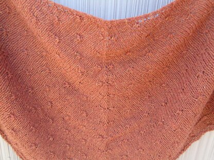 Wild Oaks Shawl