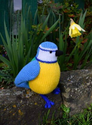 Beverley the Blue Tit