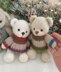 Christmas Sweaters fot Teddy and Bunny