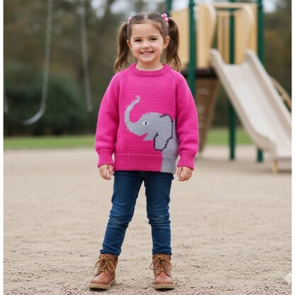 Elephant sweater & hat
