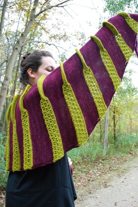 Plicata Shawl