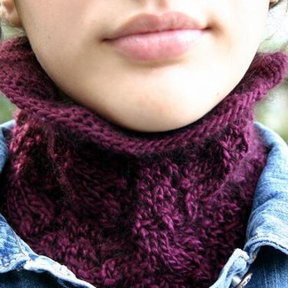 Lotier cowl