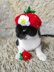 Strawberry Cat Hat
