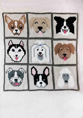 Best in Show Dog Blanket