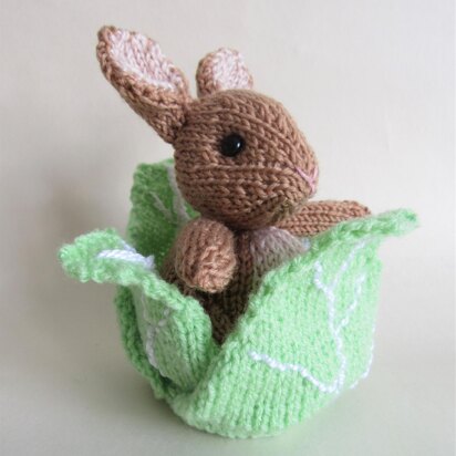 Rabbit in the Lettuce Chocolate Orange Cover Easter