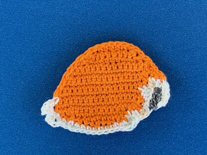 Cowrie Shell