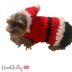 Minnie's Santa Dog Sweater