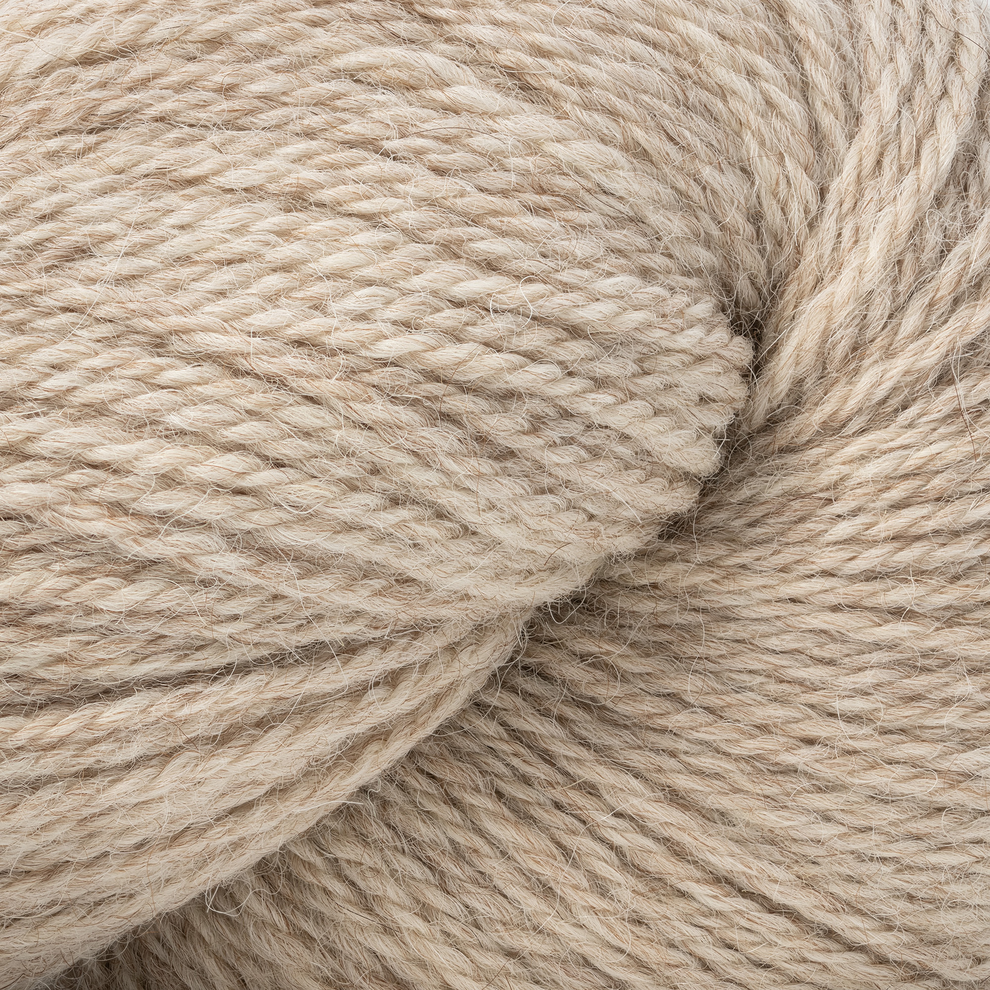 Natural White Elm (08)