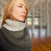 Freia Fine Handpaints Cyclone Cowl PDF