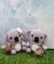 Koala Couple