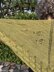 Fronde Shawl