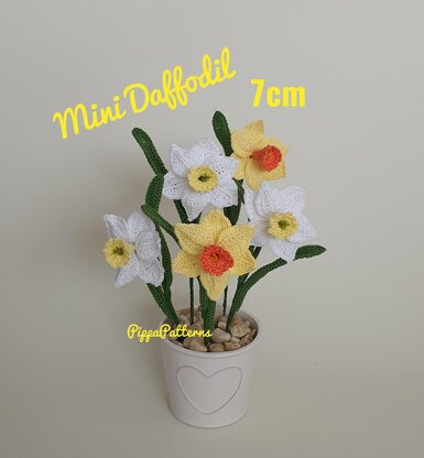 Mini Daffodil