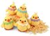 Spring Chicken family