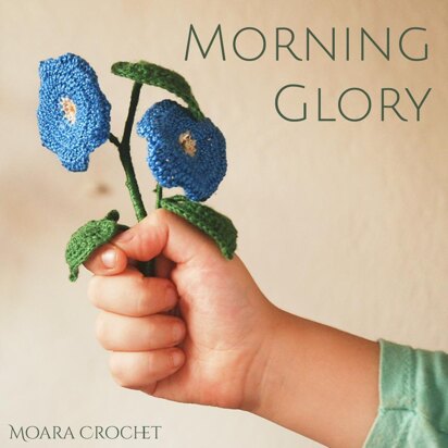 Morning Glory Flower