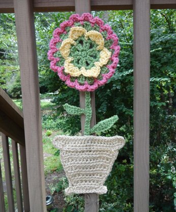 Flower in a Pot