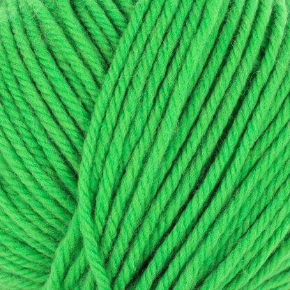 Shamrock Smoothie (912)