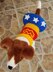 Wonder Dog Sweater