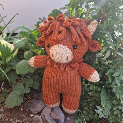 Harry the Heeland Coo
