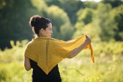 Shophie's Masterpiece (shawl)