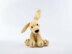 Dexter the Labrador - Toy Dog Knitting Pattern in Deramores Studio DK Acrylic