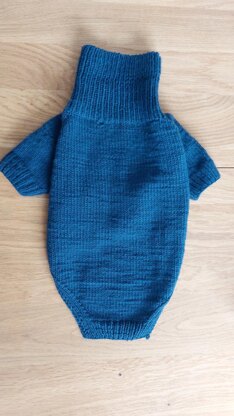 Dog Sweater Charlie No.1