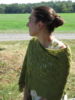 Fir Cone and Lace Shawl