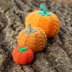 Two Cabled Pumpkins