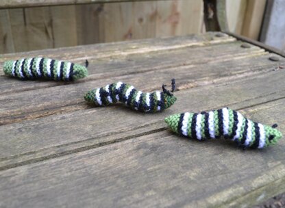 Monarch Caterpillar and Chrysallis