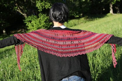 In Bloom Shawl