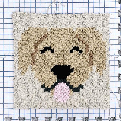 C2C Golden / Labrador Retriever Dog Blanket Square