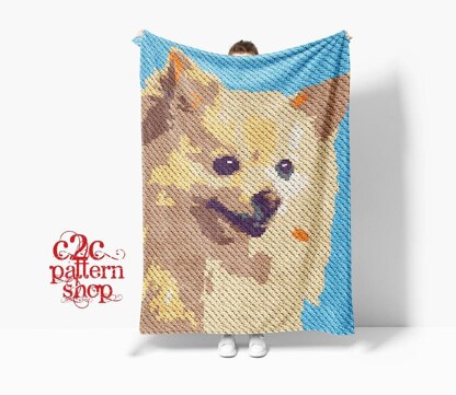 C2C Pomeranian Dog Crochet Pattern