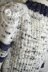 Antero Sweater - P209