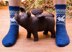 Pigasus Socks