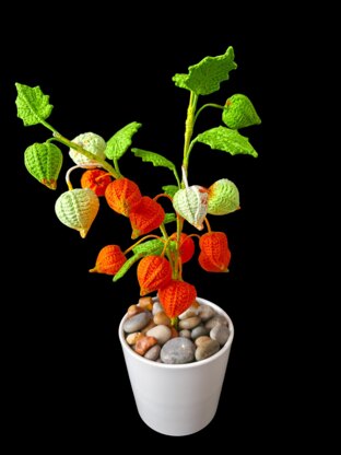 Crochet Japanese Lantern flowers