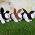 Deramores Dutch Bunnies in Deramores PDF