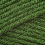 Lion Brand Yarn 860-170E Vanna's Choice Yarn, Pea Green