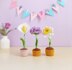 Carnation flower