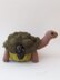 Galapagos Giant Tortoise Tea Cosy