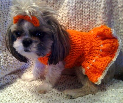Sofie's Tiny Dog Knit "Party Dress"