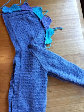 Dinosaur Hooded Jacket #3